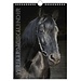 Lannoo Calendrier d'anniversaire des chevaux