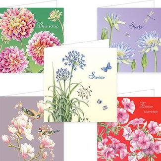 Comello Janneke Brinkman Greeting Cards Mix (no3)