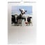 Calendrier d'anniversaire des vaches hollandaises