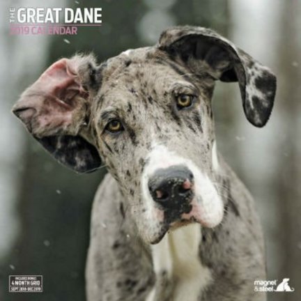 Duitse Dog Kalenders 2019