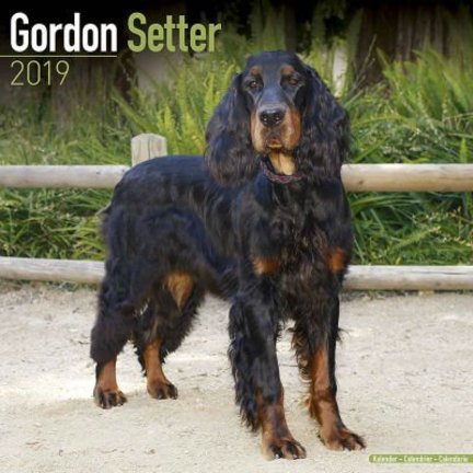 Gordon Setter Kalender