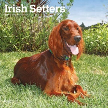 Setter Calendriers