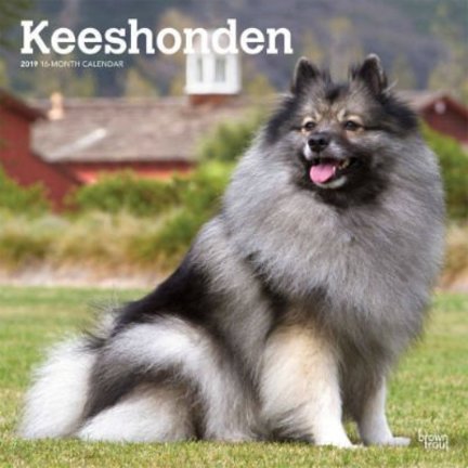 Keeshond Kalenders 2019