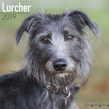 Lurcher Calendriers