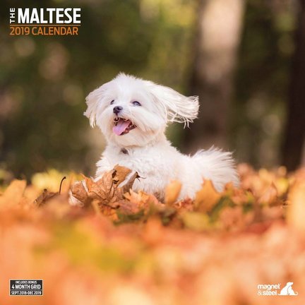 Maltese Kalender