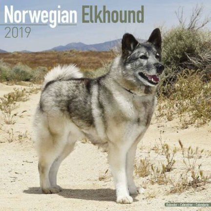 Noorse Elandhond Kalenders 2019