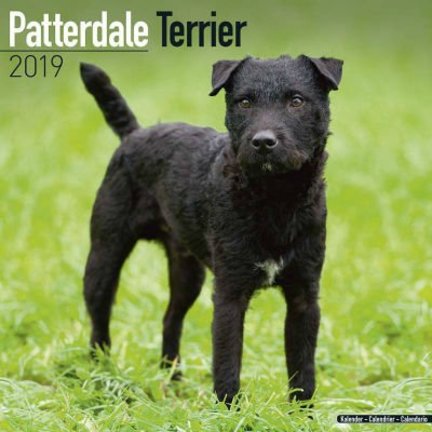 Patterdale Terrier Calendriers