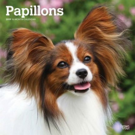 Papillon Calendars
