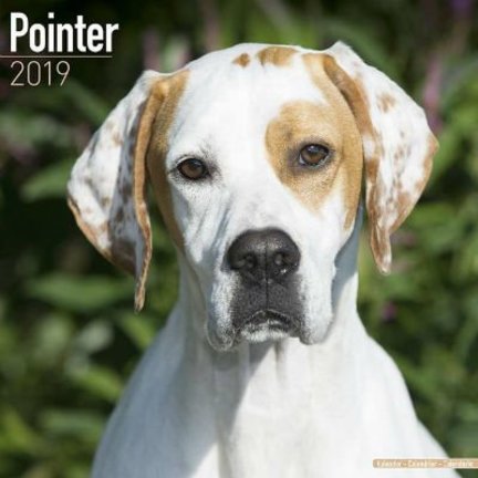 Pointeur Calendriers