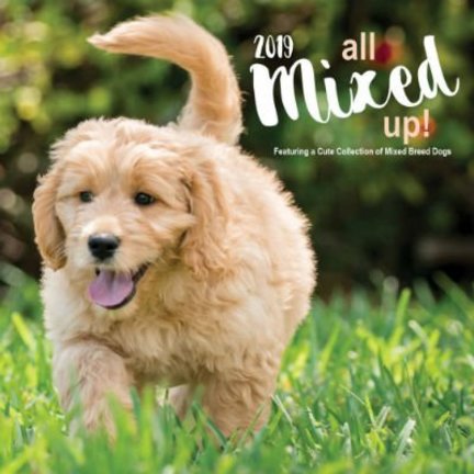 Terms dogs calendars