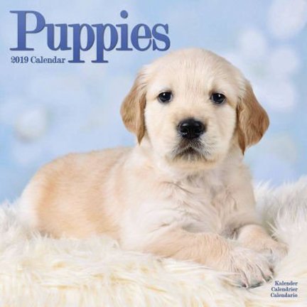 Puppies Calendars