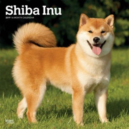Shiba Inu Kalenders