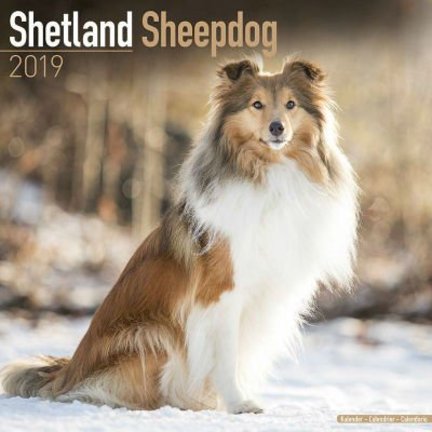 Shetland Calendriers