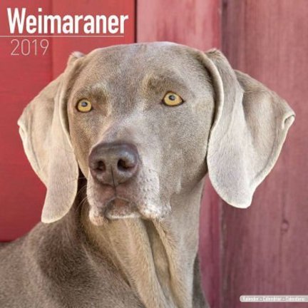 Weimaraner Kalenders