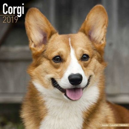 Welsh Corgi Kalenders
