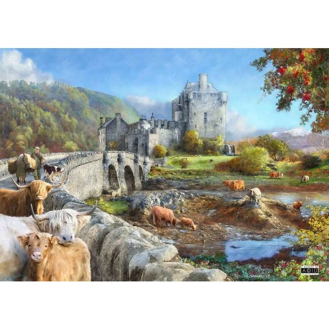 Puzzle Highland Morning 1000 pezzi