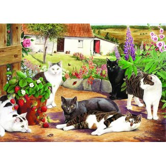 The House of Puzzles Casse-tête Cool Cats 500 pièces XL