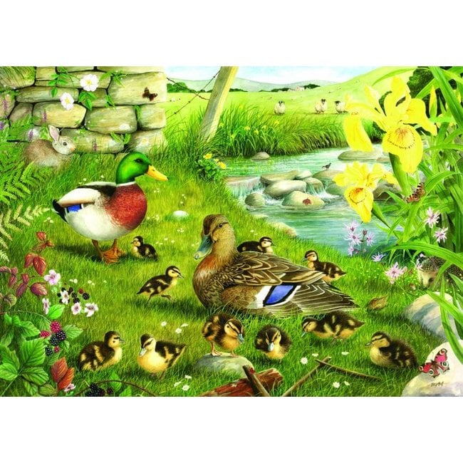 Patos al agua Puzzle 500 piezas XL