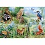 The House of Puzzles Estudio de la naturaleza Puzzle 250 piezas XL