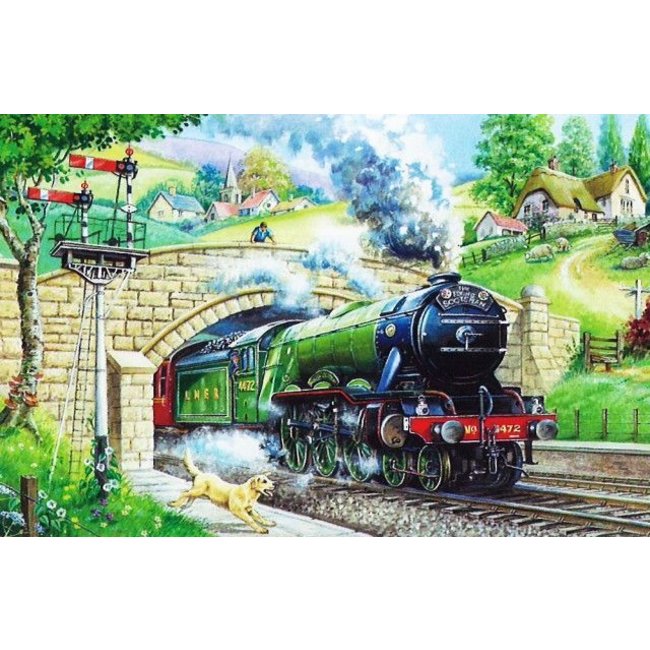 The House of Puzzles Puzzle di avvistamento del treno 250 pezzi XL