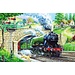 The House of Puzzles Train Spotting Puzzle 250 Pieces XL