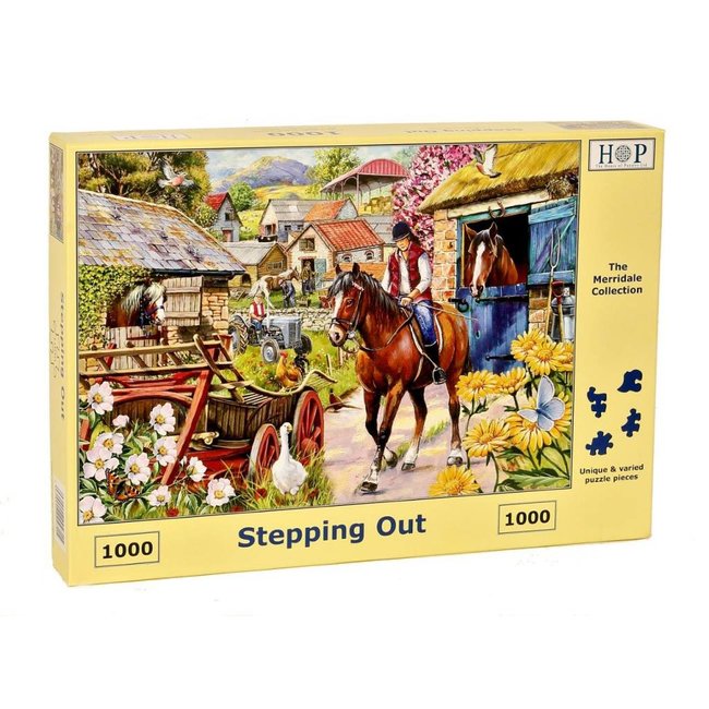 Puzzle Stepping Out 1000 pièces