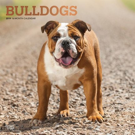 Dogs & Puppy calendars 2021