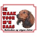 Stickerkoning Dachshund Watchword - Longhair