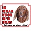 Stickerkoning Irish Setter Watch Sign - Ich passe auf mein Herrchen auf