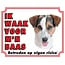 Stickerkoning Jack Russell Terrier Schutzschild - Glatthaar