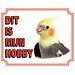 Stickerkoning Falcon Parakeet Watch Sign - This is my hobby