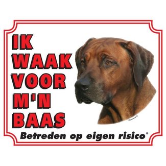 Stickerkoning Segno di guardia del Rhodesian Ridgeback - Sto facendo attenzione al mio