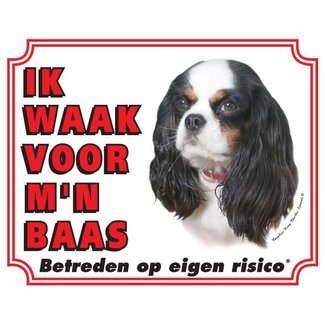 Stickerkoning Segno di orologio Cavalier King Charles Spaniel - Tricolore