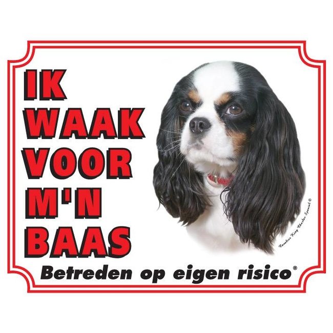 Cavalier King Charles Spaniel Uhrenschild - Tricolour