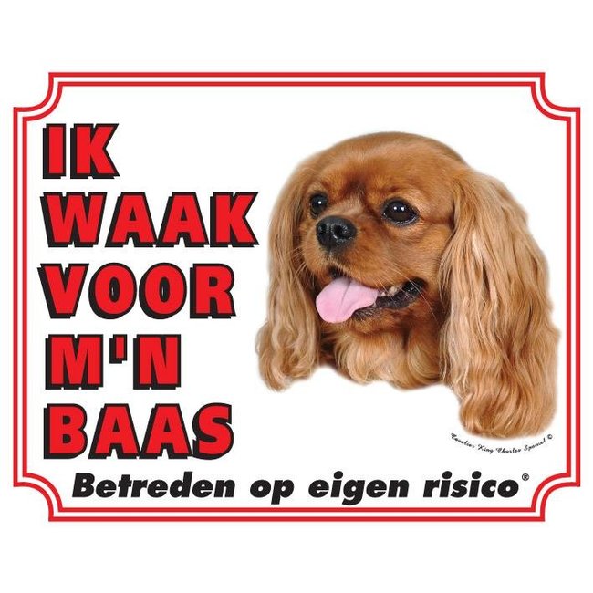 Stickerkoning Cavalier King Charles Spaniel Watch Sign - Ruby