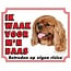 Stickerkoning Orologio con insegna Cavalier King Charles Spaniel - Rubino