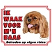 Stickerkoning Cavalier King Charles Spaniel Reloj Signo - Rubí