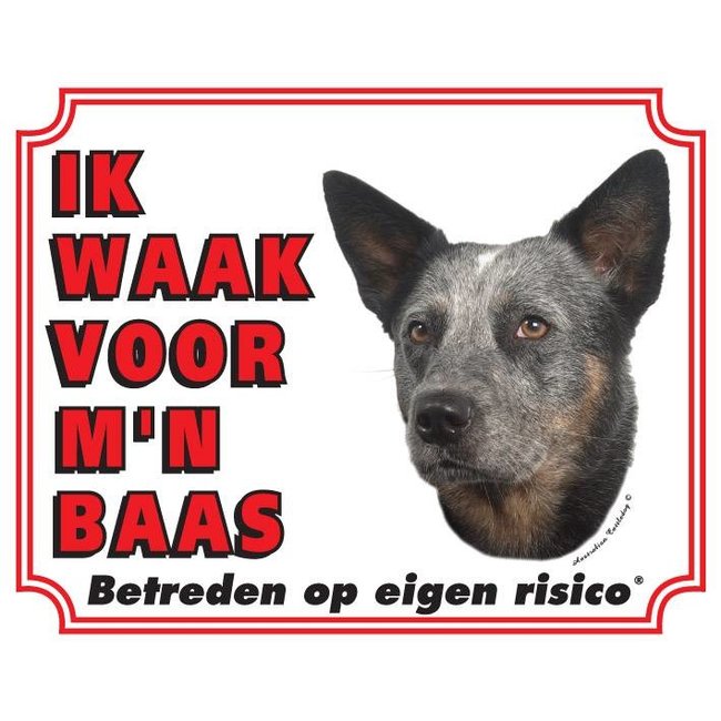 Stickerkoning Cartel de vigilancia para perros boyeros australianos - I am watching out for my