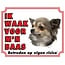 Stickerkoning Chihuahua Waakbord - Langhaar Ik waak voor mijn