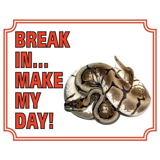 Panneau de montre King Python - Break in make my Day