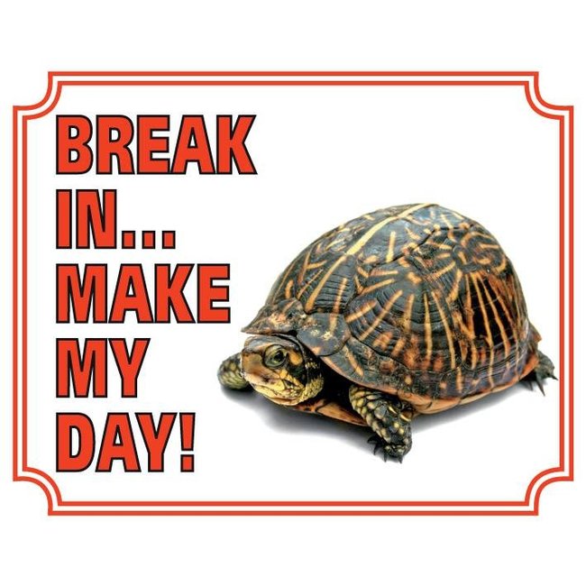 Stickerkoning Señal de vigilancia de tortugas - Break in make my day
