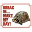 Stickerkoning Schildpad Waakbord - Break in make my day