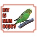 Stickerkoning Budgerigar Watch Sign - This is my hobby