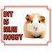 Stickerkoning Guinea pig guard sign - This is my hobby