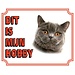 Stickerkoning British Shorthair Watch Sign - Das ist mein Hobby