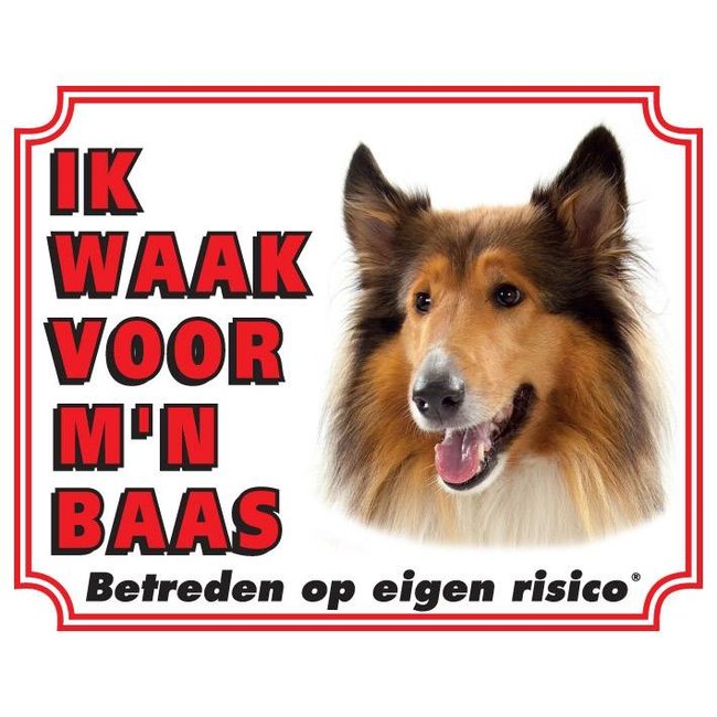 Stickerkoning Berger écossais / Collie Signe de surveillance - Je regarde le marron