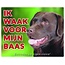 Stickerkoning Labrador Retriever Watch Sign - Ich halte Ausschau nach Brown