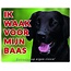 Stickerkoning Signe de surveillance du Flatcoated Retriever - Je veille sur mon