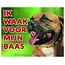 Stickerkoning Staffordshire Bull Terrier Waakbord - Ik waak voor