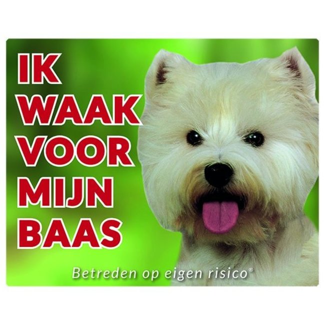 Stickerkoning West Highland White Terrier Señal de Vigilancia - Estoy vigilando